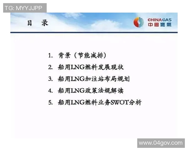 专业解读LNG反击策略及其在市场竞争中的应用分析